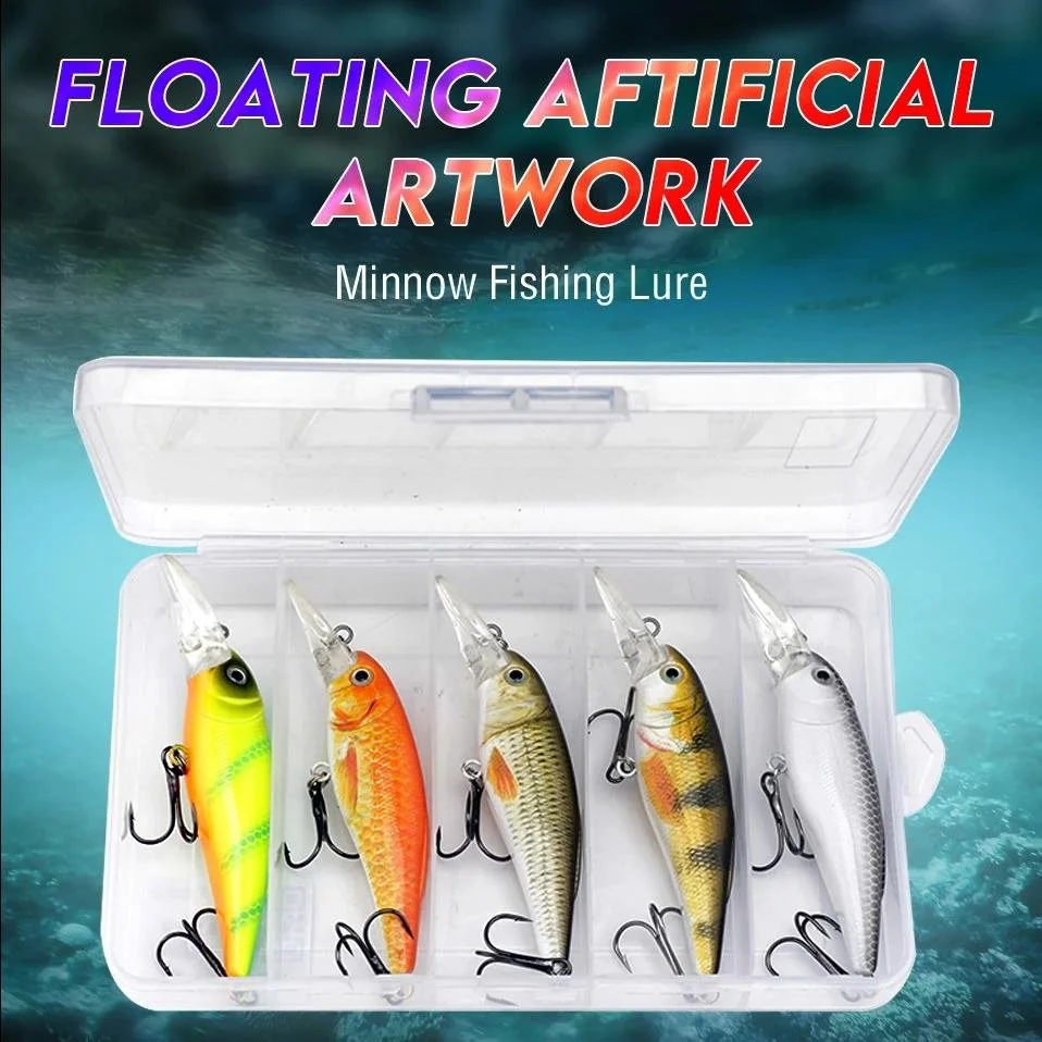 5PCS Minnow Fishing Lures Set with Box
