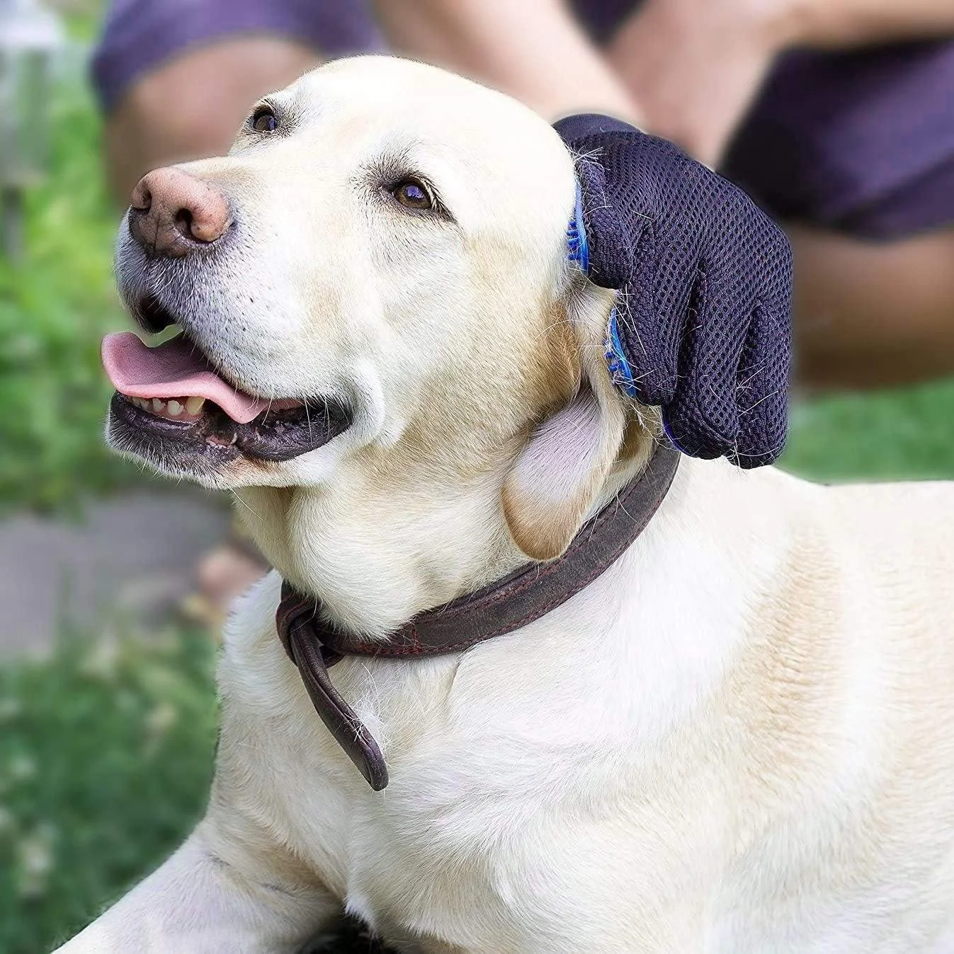 Silicone Pet Grooming Glove