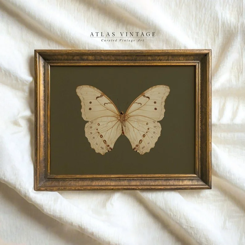 Vintage White Butterfly Print – Dark Moody Insect Wall Art for Green Decor