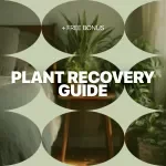 The Essential Guide to Plant Recovery – Practical Plant Recovery Steps eBook for Houseplant Care, Stress Diagnosis & Revival