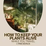 How to Keep Your Plants Alive While You Travel – Vacation Plant Care eBook | Plants That Survive Vacations Guide for Busy Plant Lovers