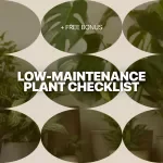 Low-Maintenance Plant Checklist | Easy Care Guide for Low Maintenance Plants | Printable Digital Checklist for Busy Homes & Offices