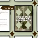 Indoor Oasis for Thriving Houseplants: Complete Guide to Indoor Plant Care Basics eBook, Watering, Light, Soil, and Creative Indoor Displays
