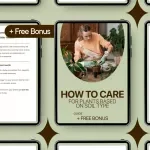 How to Care for Plants Based on Soil Type – Expert Guide to Watering Plants by Soil Type, Smart Moisture Tips, and Soil-Based Plant Care