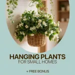 Hanging Plants for Small Homes: The Ultimate Guide to Space-Saving Indoor Greenery, Care Tips, and Beginner-Friendly Plant Ideas
