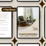 Plants for People Who Forget to Water – The Ultimate Guide to Low-Maintenance Indoor Plants for Forgetful Waterers