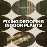 Fixing Drooping Indoor Plants: Expert Guide on Indoor Plants Drooping Causes, Watering, Pests, and Recovery Tips