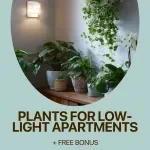Plants for Low-Light Apartments Guide | Easy Indoor Greenery for Small Spaces | Digital Download for Beginners