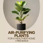 Air-Purifying Plants for a Healthier Home – Digital Guide to Indoor Plants That Clean Air, Easy Care Tips, Modern Indoor Garden eBook