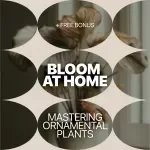 Bloom at Home: Mastering Ornamental Plants | Ebook Guide to Home Ornamental Plants, Indoor Plant Care, Styling & Smart Growing