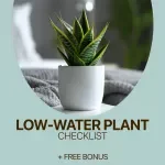 Low-Water Plant Checklist | Easy Care Guide for Plants That Need Little Water | Minimal Watering Indoor Plant Checklist