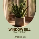 Window Sill Plant Ideas – Easy Indoor Gardening Checklist | Digital Download for Small Spaces, Sunlight Matching & Plant Care