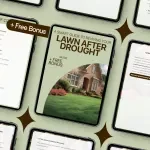A Smart Guide to Reviving Your Lawn After Drought: Expert Lawn Recovery Tips & Strategies