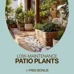 Low-Maintenance Patio Plants: Your Easy Care Checklist | Patio Plants Low Maintenance Digital Checklist for Stress-Free Outdoor Spaces