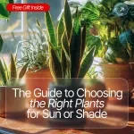 The Guide to Choosing the Right Plants for Sun or Shade – Essential Tips for Garden Success