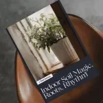 Indoor Soil Magic, Roots, Rhythm – The Ultimate Indoor Plant Soil Mix Guide for Healthy Roots & Thriving Houseplants