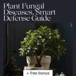 Plant Fungal Diseases, Smart Defense Guide – Complete Guide to Fungal Disease in Plants Identification, Prevention & Treatment for Healthier Gardens