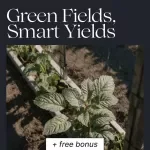 Green Fields, Smart Yields: A Practical Guide to Crop Rotation Basics for Healthier Soil, Higher Harvests & Sustainable Farm Planning