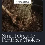 Smart Organic Fertilizer Choices – Complete Guide to Organic Fertilizer Options for Healthier Soil, Bigger Harvests & Sustainable Gardening Success