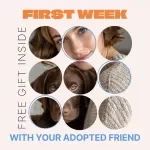 First Week with Your Adopted Friend – Complete Guide for the first week with adopted pet, New Pet Transition, Bonding & AI-Powered Care Planning