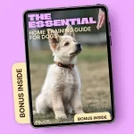 The Essential Home Training Guide for Dogs | eBook on How to Teach Sit Stay Come | Positive Dog Training for Beginners