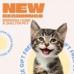 New Beginnings: Bringing Home a Shelter Pet – Adoption Guide for First-Time Pet Parents | adopting pet from shelter expectations