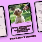 Dog Training Basics You Can Do at Home | Easy Step-by-Step Ebook for Beginners | dog training basics at home