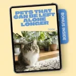 Pets That Can Be Left Alone Longer – Ultimate Guide for Pet Owners, eBook, and Checklist on Pets That Can Be Left Alone Longer