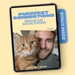 Purrfect Connections: Indoor Cat Socialization – Practical Guide for Confident, Happy Cats