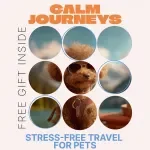Calm Journeys: Stress-Free Travel for Pets | Pet Travel Anxiety Guide, Stress-Free Pet Travel eBook, Dog & Cat Travel Checklist, Anxiety-Free Trips