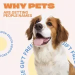 Why Pets Are Getting People Names – A Fun, Insightful Ebook on the Human Names for Pets Trend