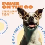 Paws on the Go: Stress-Free Pet Hotel Stays | Pet-Friendly Hotel Travel Guide for Dogs & Cats | Anxiety-Free Pet Travel eBook & Checklist