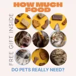 How Much Food Do Pets Really Need – Easy Feeding Checklist for Dogs & Cats, Portion Control Guide, Pet Meal Planning Download