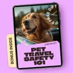 Pet Travel Safety 101: Car Seat Rules Checklist – Digital Pet Car Safety Guide, Pet Seatbelt & Carrier Safety, Dog & Cat Travel Checklist, Instant Download