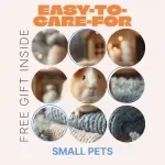 Easy-to-Care-For Small Pets – Beginner-Friendly Guide to Small Pets That Are Easy to Care For, Smart Pet Choices for Busy Lifestyles