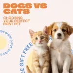 Dogs vs Cats: Choosing Your Perfect First Pet – Beginner-Friendly Guide for Dog vs Cat for Beginners, First-Time Pet Owners Digital Download