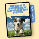Fresh & Friendly Low-Odor Pets | Printable Checklist for Choosing Pets That Do Not Smell Much | Apartment & Small Space Pet Guide