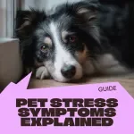 Understanding Pet Stress Before It Escalates – A Practical Guide for Pet Owners | pet stress symptoms explained | Digital Download
