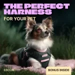 The Perfect Harness for Your Pet | Ebook Guide on How to Choose a Pet Harness | Stress-Free Fit, Comfort & Walking Confidence