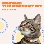 Finding the Perfect Fit for Your Pet – Complete eBook Guide on How to Choose a Pet Collar, Sizing, Safety & Style for Dogs and Cats