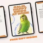 Calm, Happy Birds at Home – A Practical Guide to Bird Care at Home Basics, Behavior, Feeding & Stress-Free Living