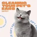 Cleaning Your Pet’s Ears Safely – Easy Step-by-Step Guide to Ear Cleaning for Pets, Dogs & Cats