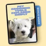 Pet Grooming Tools Explained Simply – Easy-to-Follow Digital Guide for Pet Owners | Grooming Tools Explained Simply for Healthier Coats