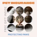 Pet Insurance: Protecting Paws Without Breaking the Bank | Smart Pet Owner Guide Answering “pet insurance is it worth it”
