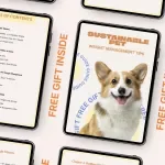 Sustainable Pet Weight Management Tips | Practical Guide for Healthy Pets, Smart Feeding & Long-Term Results | Easy Pet Weight Management Tips for Dogs & Cats