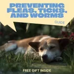 Preventing Fleas, Ticks, and Worms | Essential Pet Health Guide for fleas ticks worms prevention | Easy Digital Download