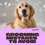Grooming Mistakes Every Pet Owner Should Avoid | Essential eBook Guide to Grooming Mistakes to Avoid for Healthier, Happier Pets