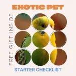 Exotic Pet Starter Checklist | Ultimate Beginner Guide for Exotic Pets for Beginners | Easy Care, Habitat & Feeding Setup