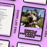 Gentle Moves for Golden Paws – A Practical Guide to Senior Pet Exercise Ideas for Aging Dogs & Cats