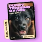 Puppy Training by Age, Made Simple – Easy Step-by-Step Guide for a Puppy Training Schedule by Age | New Puppy Basics, Obedience & Routines